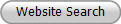 Website Search